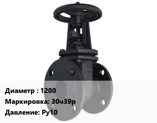 Задвижка чугунная 1200 30ч39р Ру10